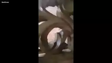 Desi Cute Girl From kolkata Fucking With Lover 4New Clips With Bangla Talk Enjoy (Update)